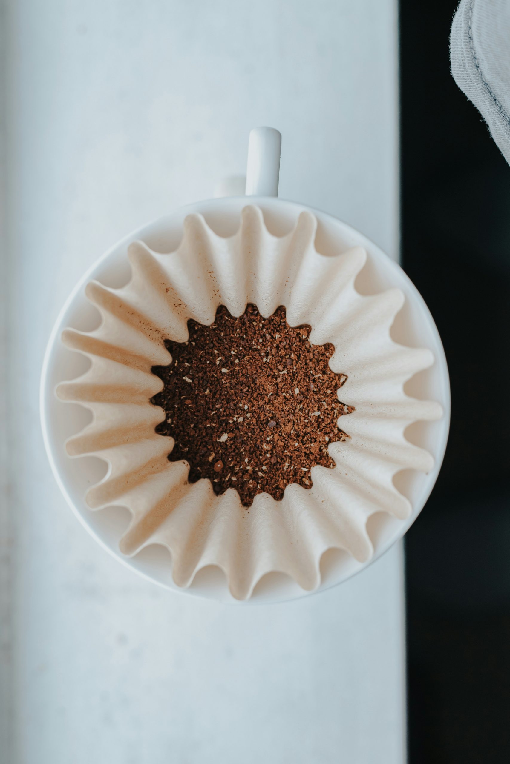 The Same Coffee, Four Ways: A Field Guide to Grinds