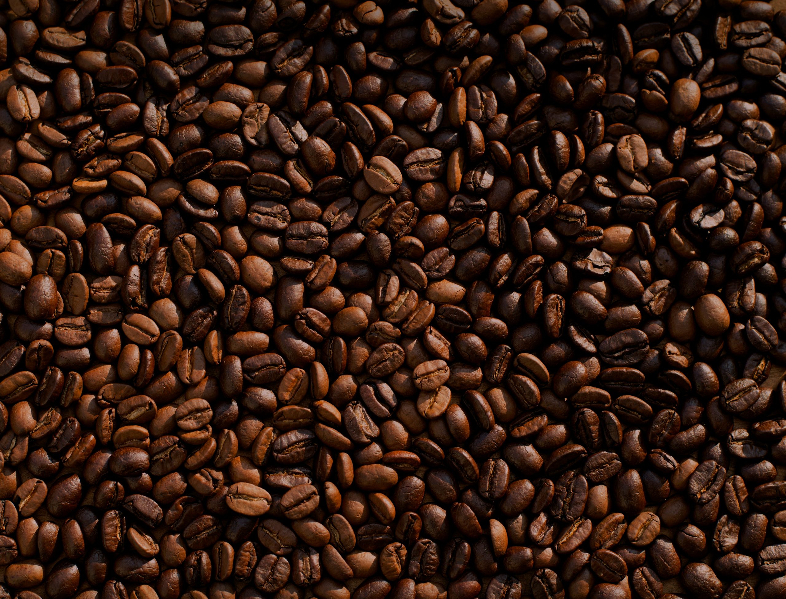Goats, Sufis, Smugglers, and You: The Wildly Improbable Tale of Coffee